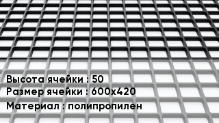 Георешетка 50 Ячейка: 600х420 полипропилен